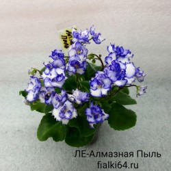 ЛЕ-Алмазная Пыль